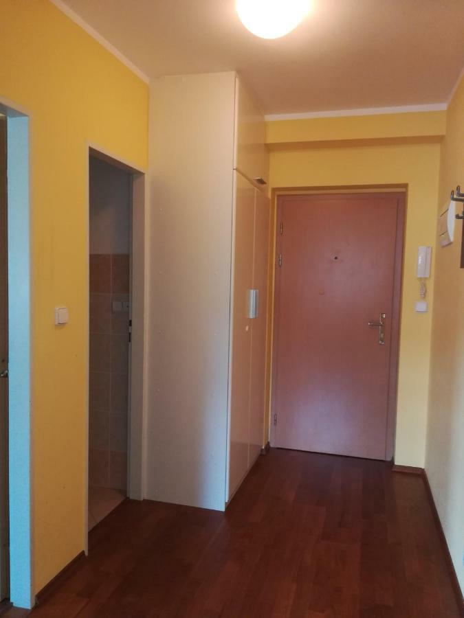 Apartments Rokytka 308 & 405 Rokytnice nad Jizerou Extérieur photo